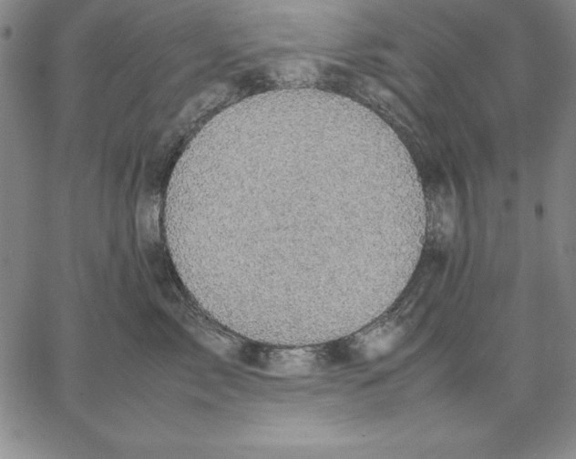 X0000066520717200604071552