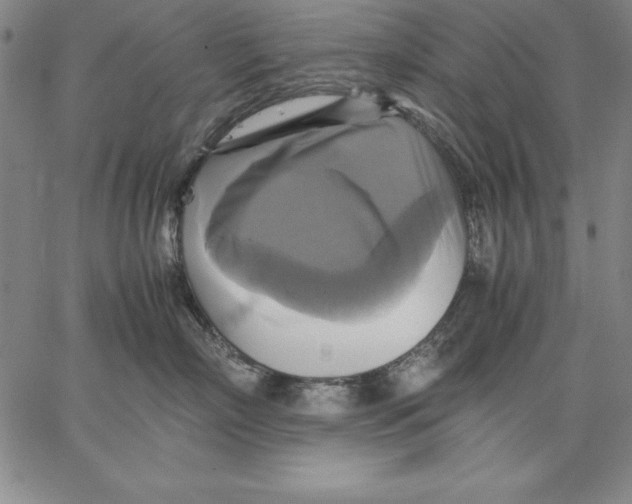 X0000066520718200604071552