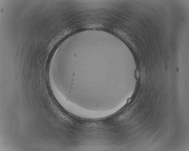 X0000066520721200604071551