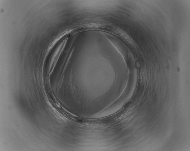 X0000066520722200604071551