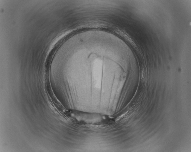 X0000066520724200604071551