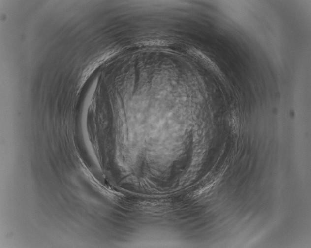 X0000066520725200604071551