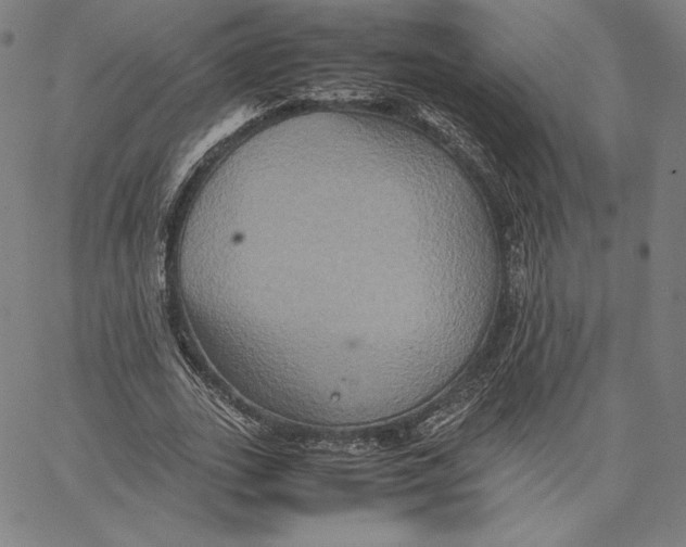 X0000066520727200604071551