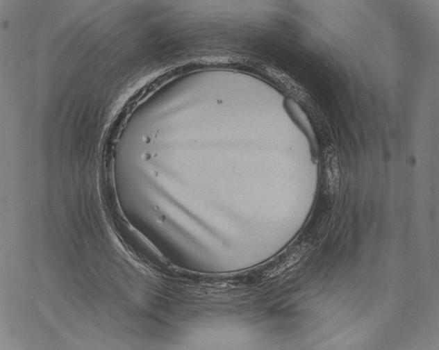 X0000066520728200604071551