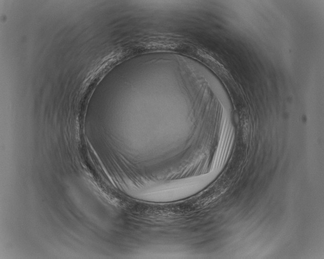 X0000066520729200604071551