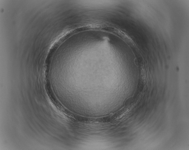 X0000066520730200604071551