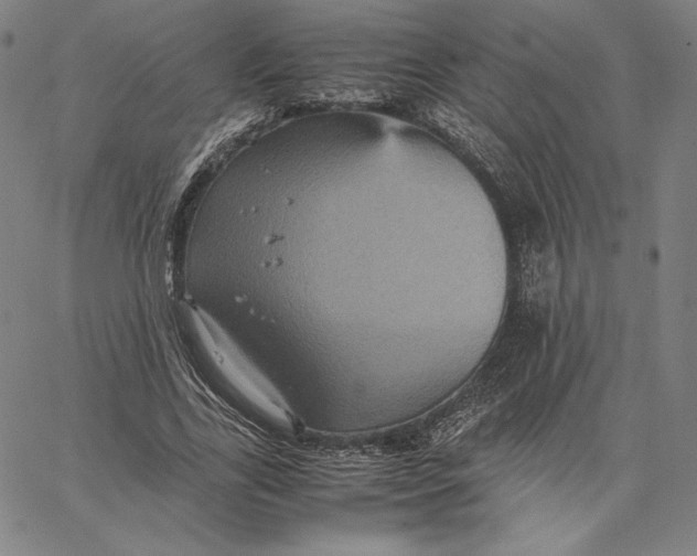 X0000066520731200604071551