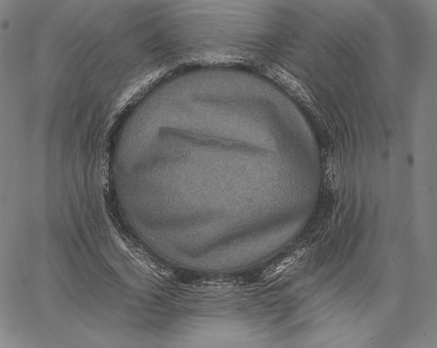 X0000066520732200604071551