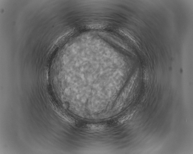 X0000066520733200604071551