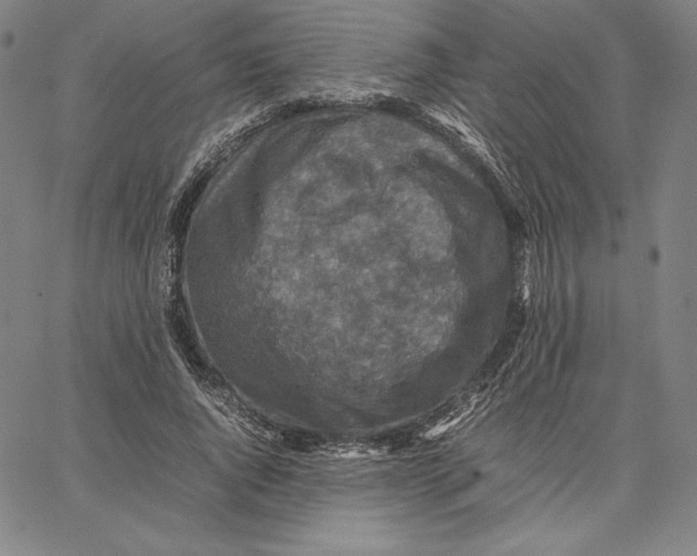 X0000066520736200604071551