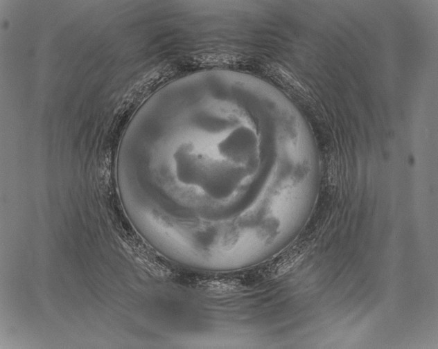 X0000066520737200604071551