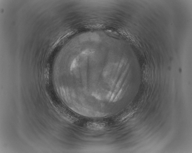 X0000066520739200604071551