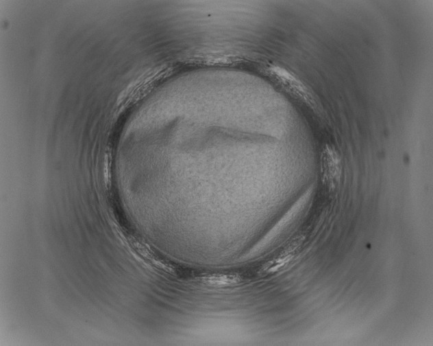 X0000066520740200604071551