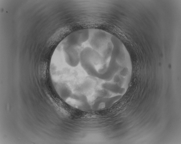 X0000066520742200604071551