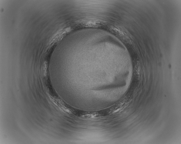 X0000066520744200604071551