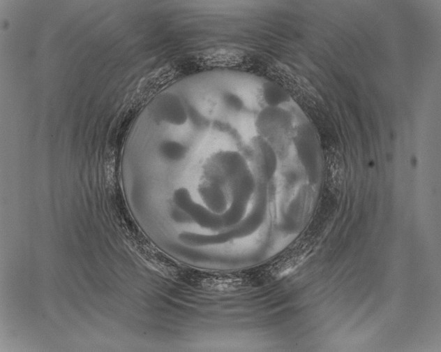 X0000066520745200604071551