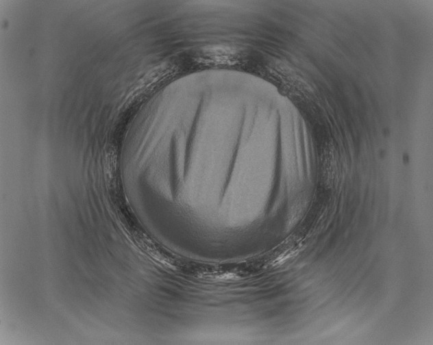 X0000066520747200604071551