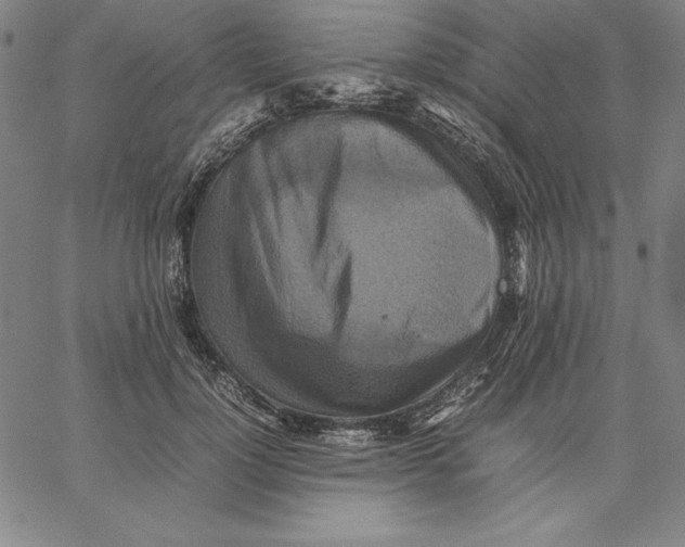 X0000066520748200604071551