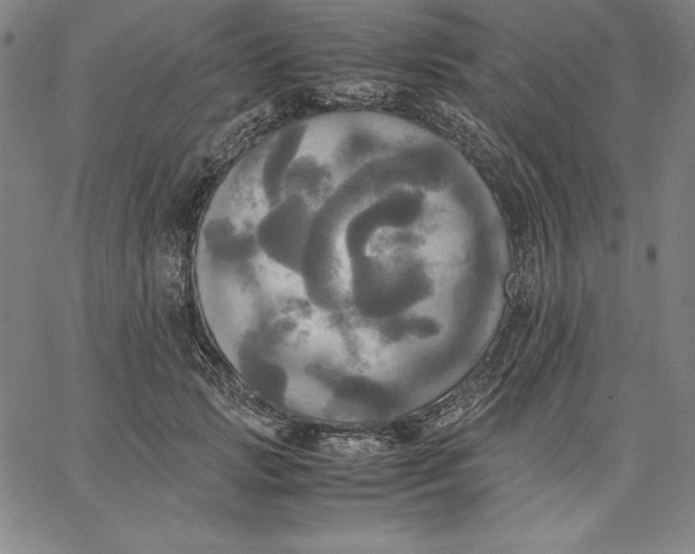 X0000066520749200604071551