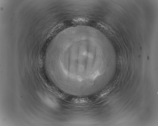 X0000066520751200604071551