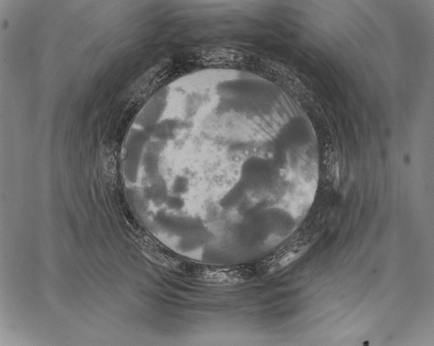 X0000066520753200604071551