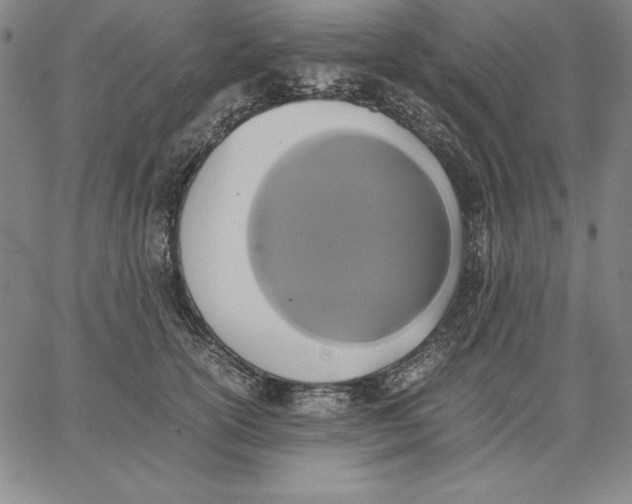 X0000066520754200604071551