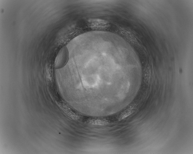 X0000066520755200604071551