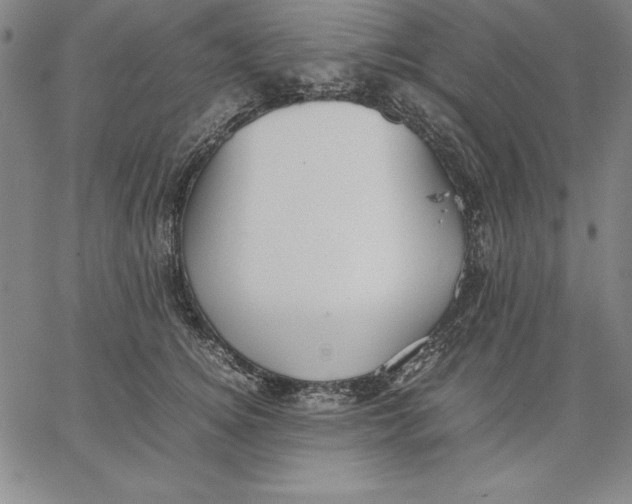 X0000066520756200604071551