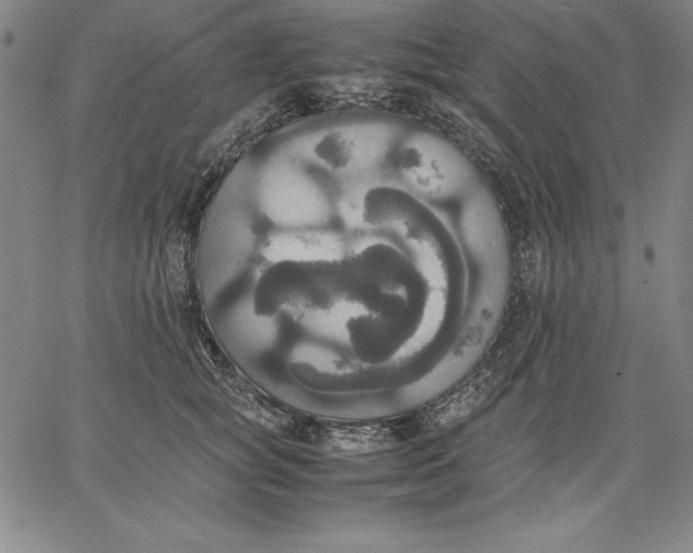 X0000066520757200604071552