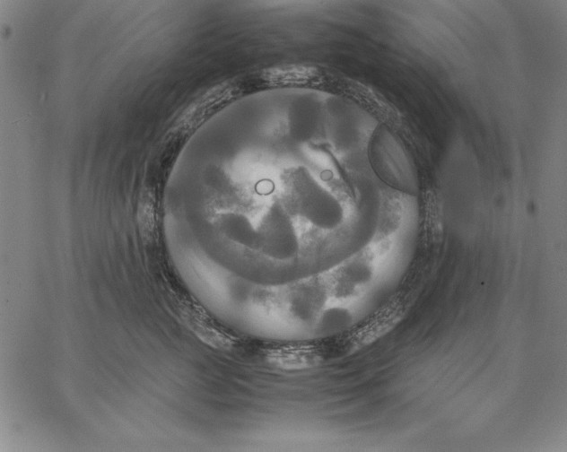 X0000066520761200604071552