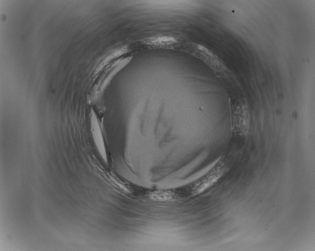 X0000066520762200604071552