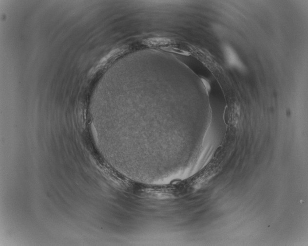 X0000066520763200604071552