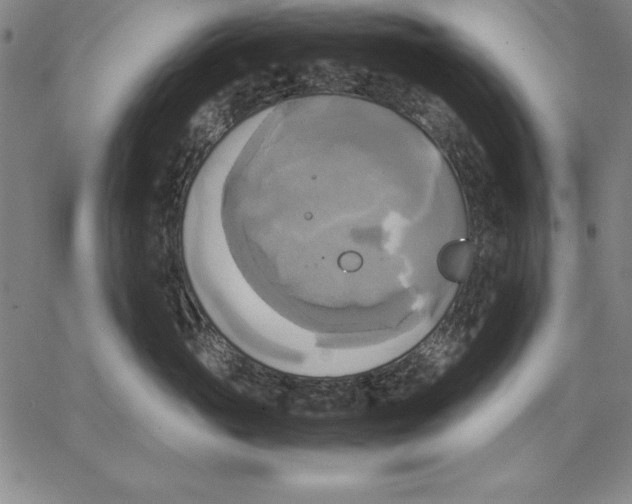 X0000066520765200604071552