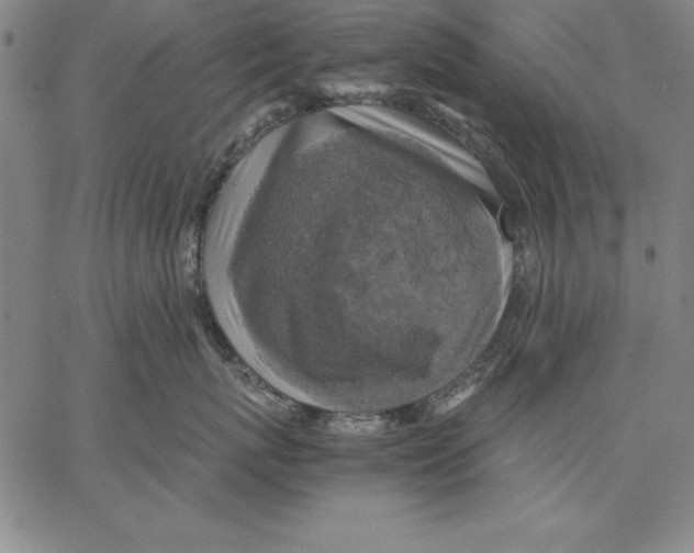 X0000066520767200604071552