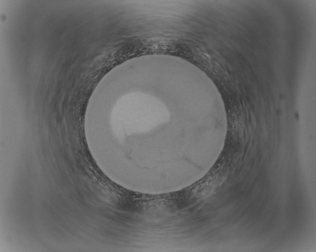 X0000066520769200604071551