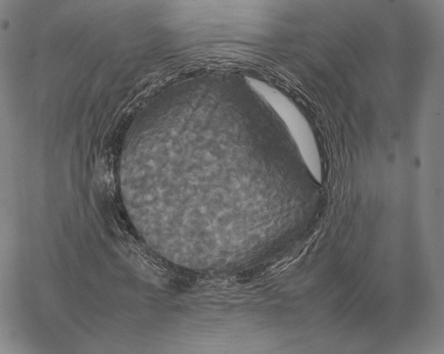 X0000066520771200604071551