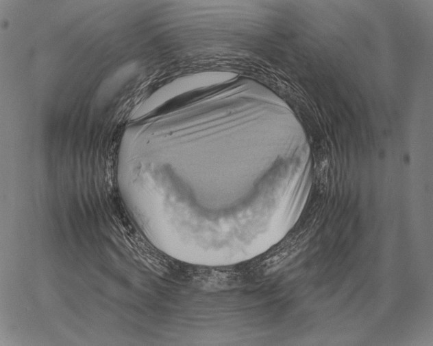 X0000066520772200604071551