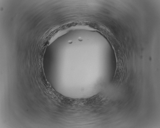 X0000066520773200604071551