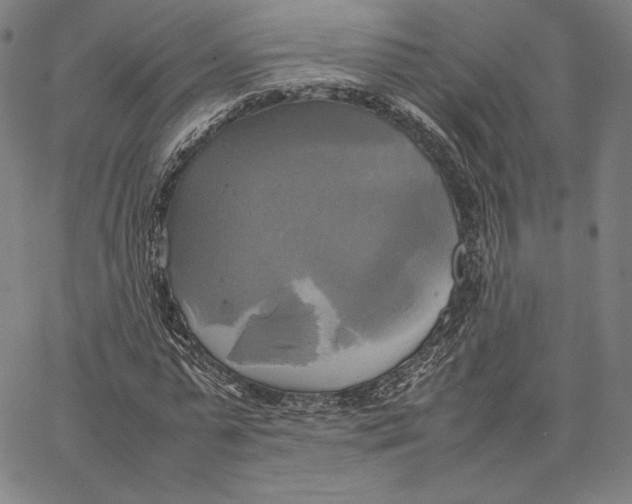 X0000066520775200604071551