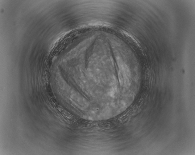 X0000066520776200604071551