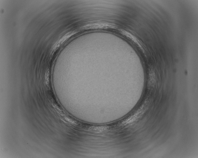 X0000066520778200604071551