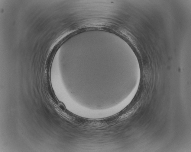 X0000066520779200604071551