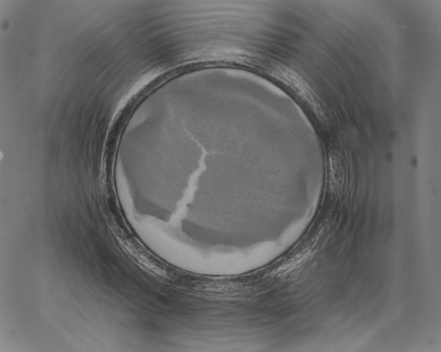 X0000066520780200604071551