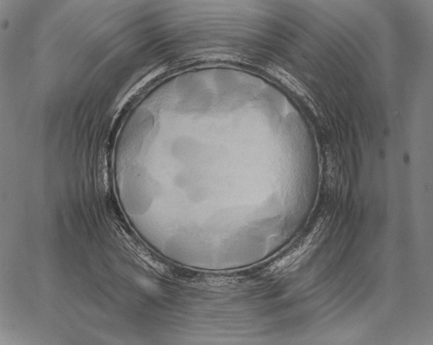 X0000066520782200604071551