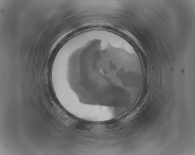 X0000066520783200604071551