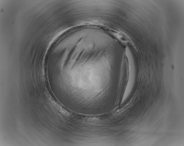 X0000066520784200604071551