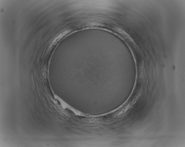 X0000066520785200604071551