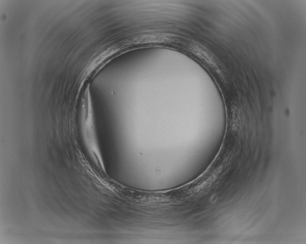 X0000066520786200604071551