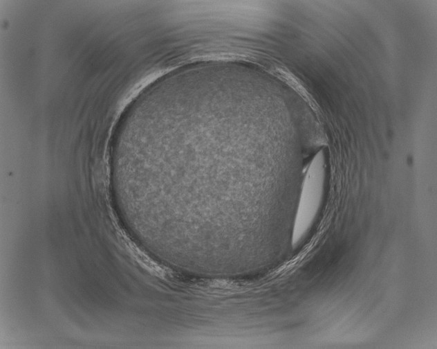 X0000066520787200604071551