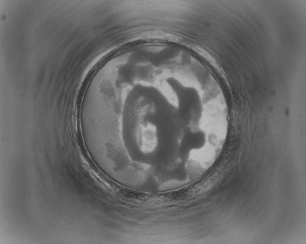 X0000066520791200604071551